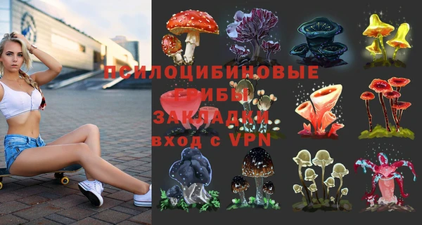 стаф Богородск