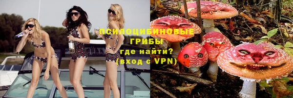 ГАЛЛЮЦИНОГЕННЫЕ ГРИБЫ Богородицк