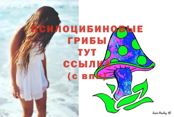 прущий лед Богданович