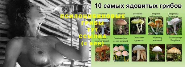 метадон Белокуриха