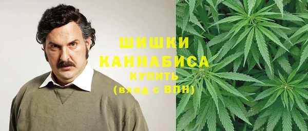 метадон Белокуриха
