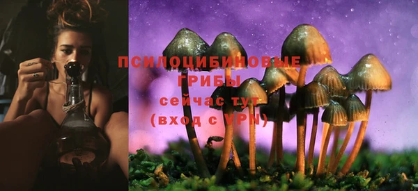 прущий лед Богданович
